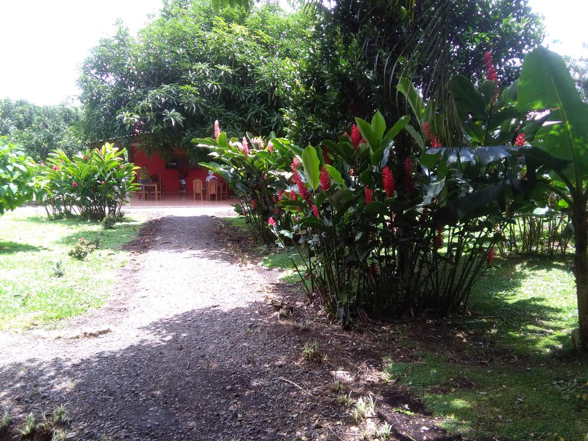 Paraiso Volcano Lodge Guayabo  ภายนอก รูปภาพ