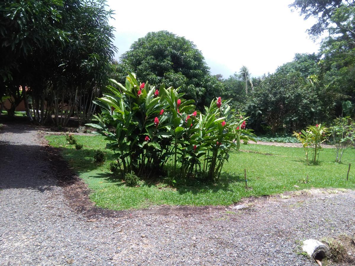 Paraiso Volcano Lodge Guayabo  ภายนอก รูปภาพ