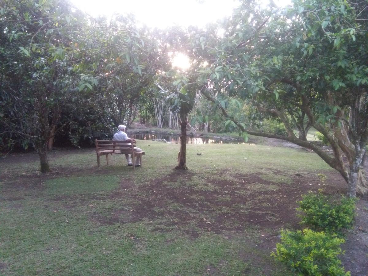 Paraiso Volcano Lodge Guayabo  ภายนอก รูปภาพ