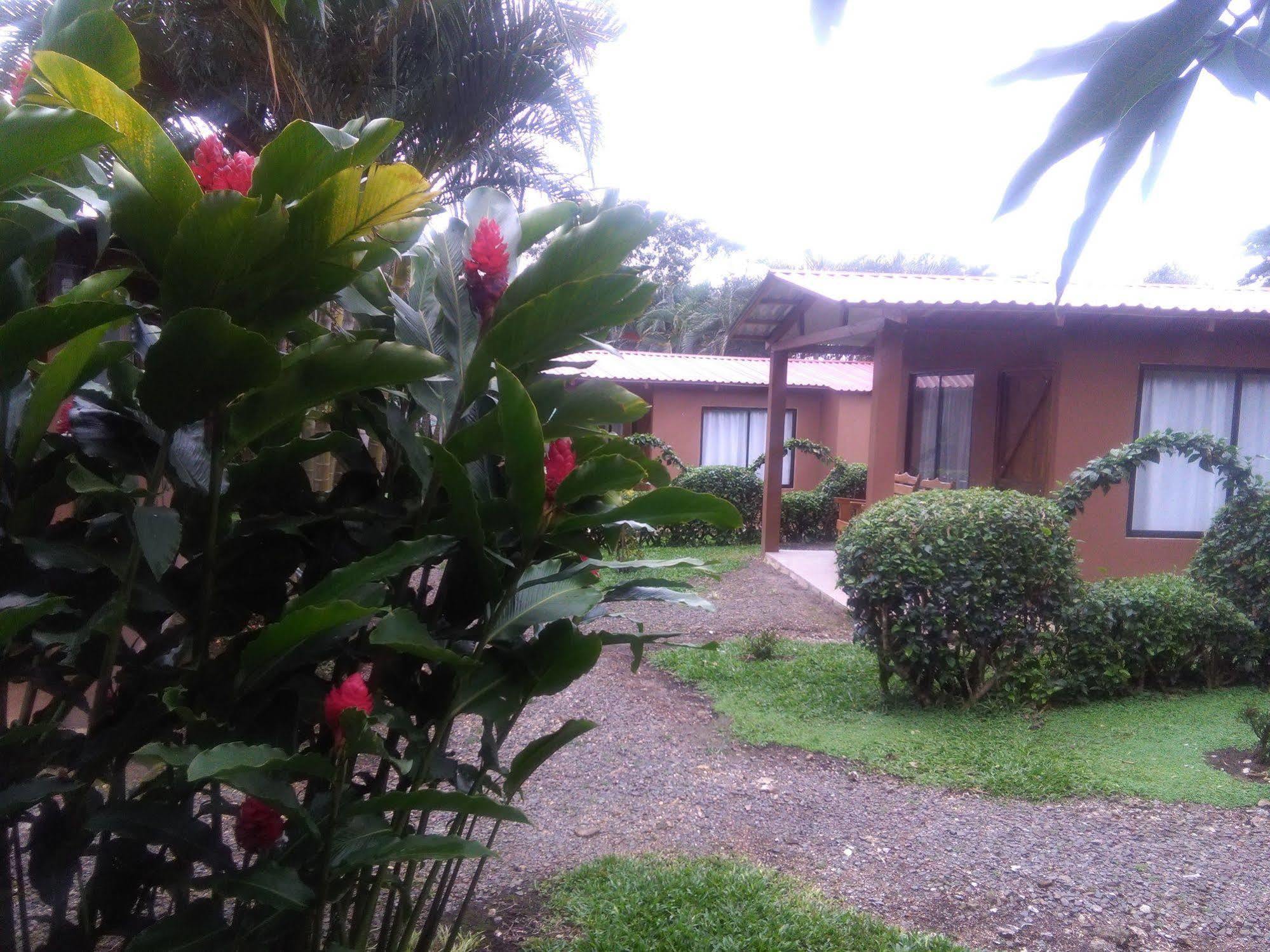 Paraiso Volcano Lodge Guayabo  ภายนอก รูปภาพ